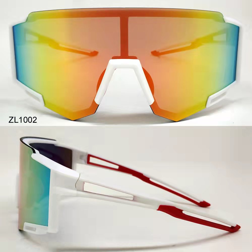ZL1002.jpg