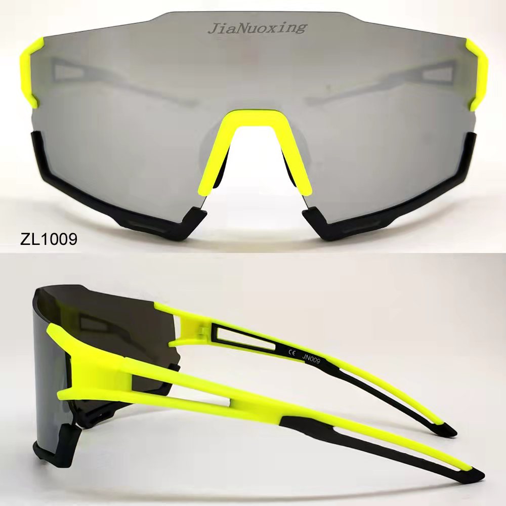 ZL1009.jpg