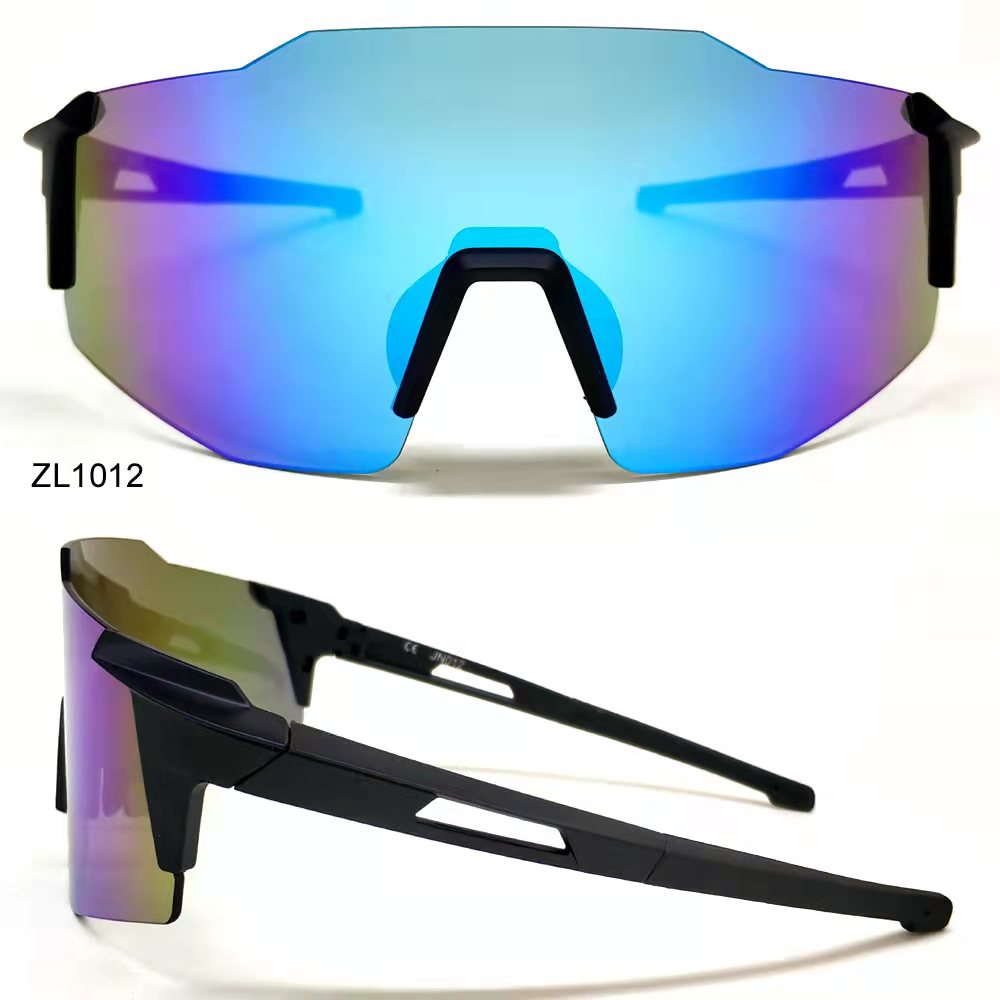 ZL1012.jpg